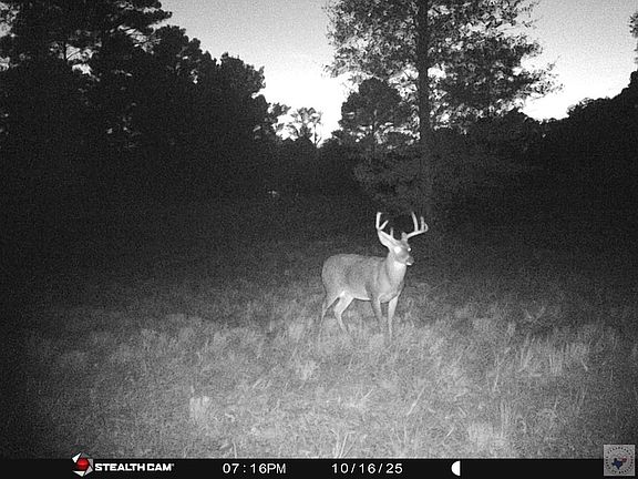 2nd image of 4847 Fm 992
