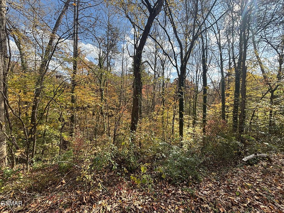 1st image of 55 Pine Dr Lot 55A
