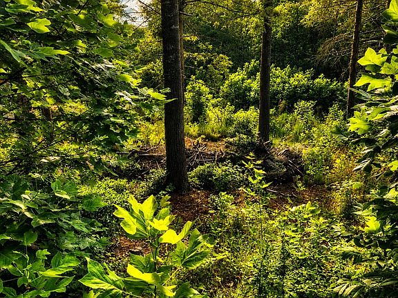 3rd image of 201 Cross Creek North Ridge Dr #46