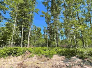 Camp 23 Rd #S, Germfask, MI 49836