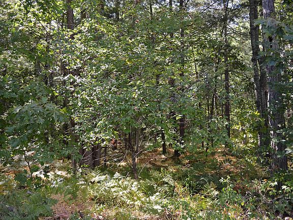 4th image of 2080 Driftwood Ln NE