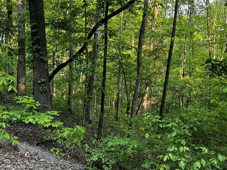 0 NE Bowater Rd, Calhoun, TN 37309 Zillow