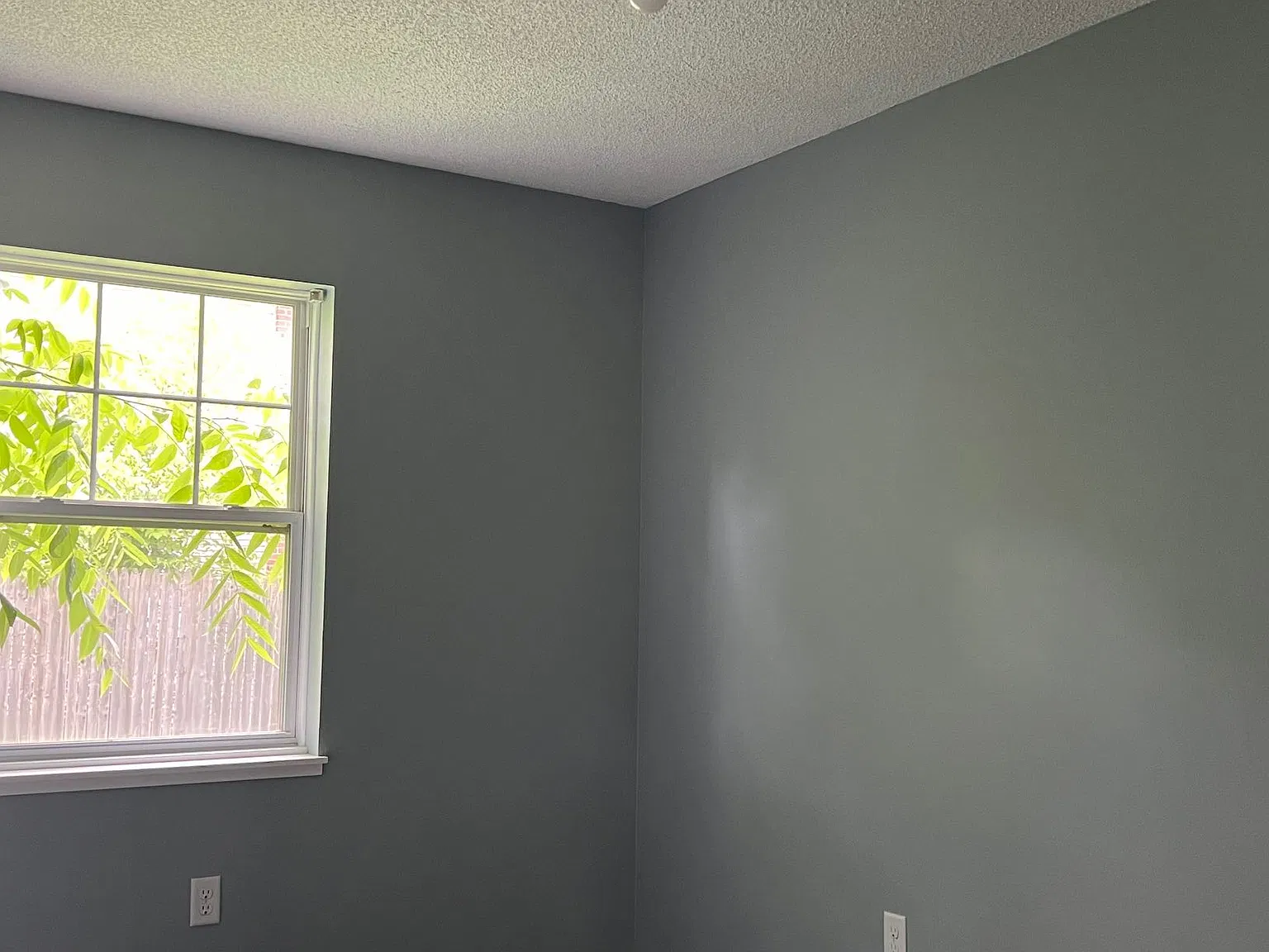 1254 Miller Dr. — Photo 2