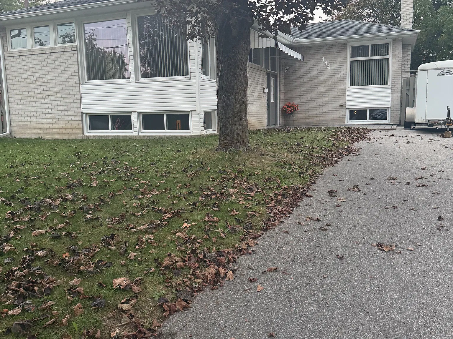 3 bed, $3,000 — Photo 1
