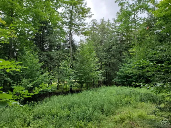 66 - 90 Harra Rd, Jewett, NY 12444