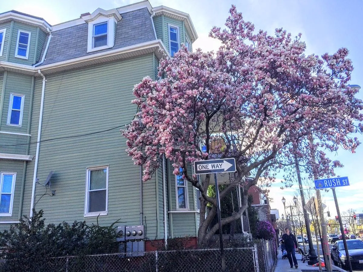 5 bed, 900 sqft, $750 — Photo 1
