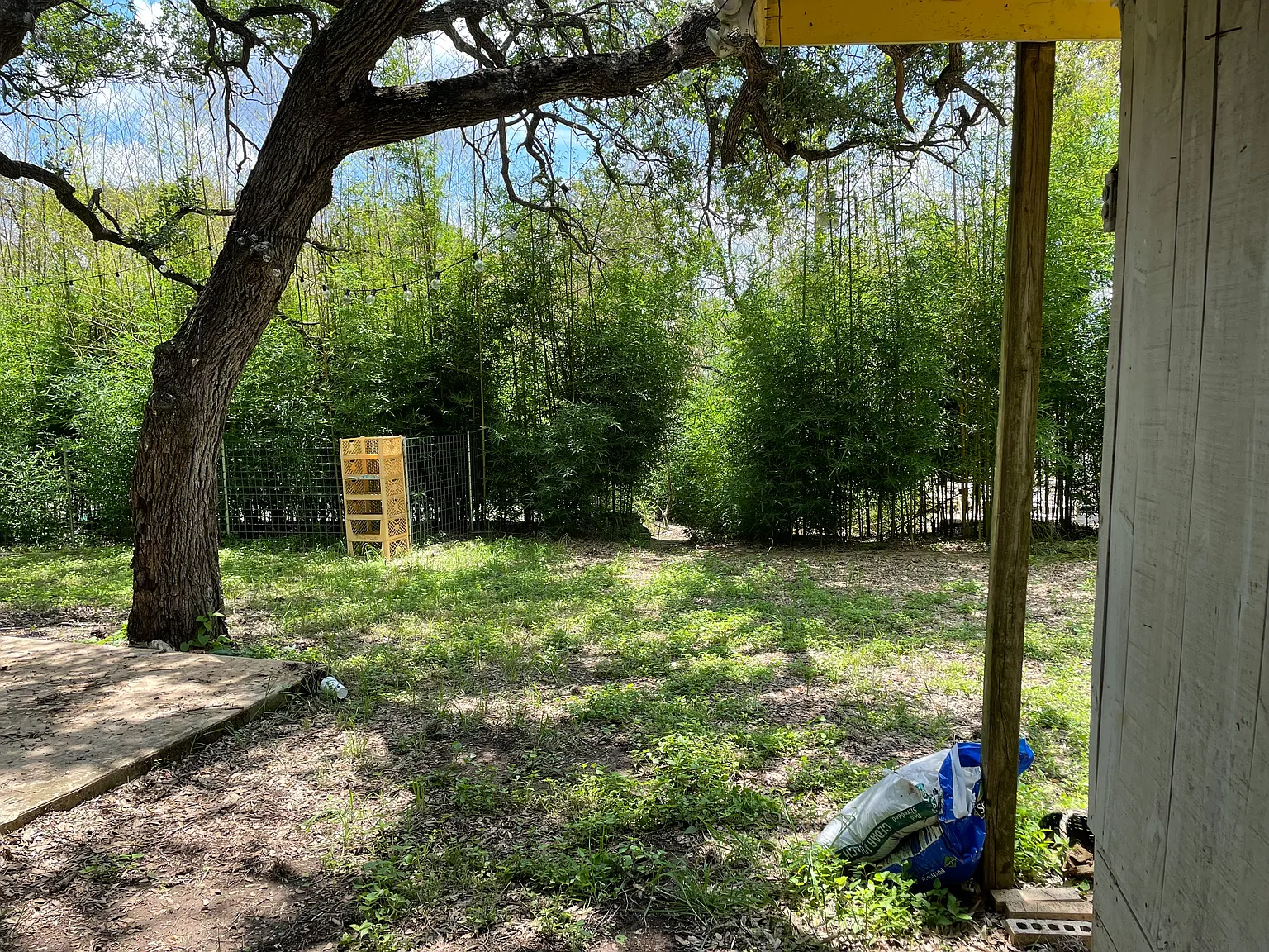 3 bed, 1225 sqft, $1,950 — Photo 4