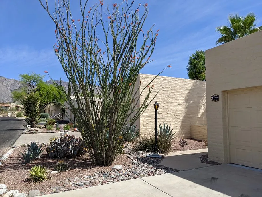 2 bed, 1509 sqft, $3,600 — Photo 2