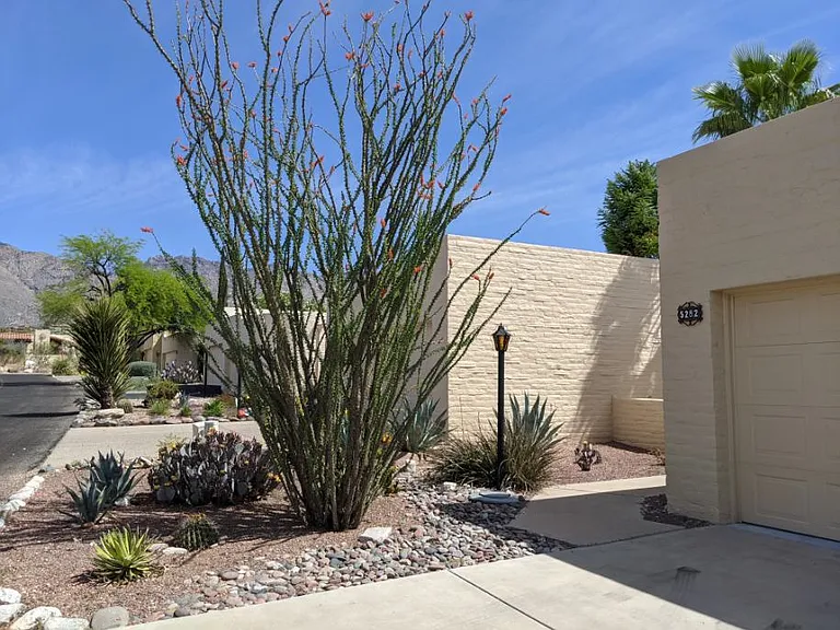 5282 N Paseo Del Arenal — Photo 3