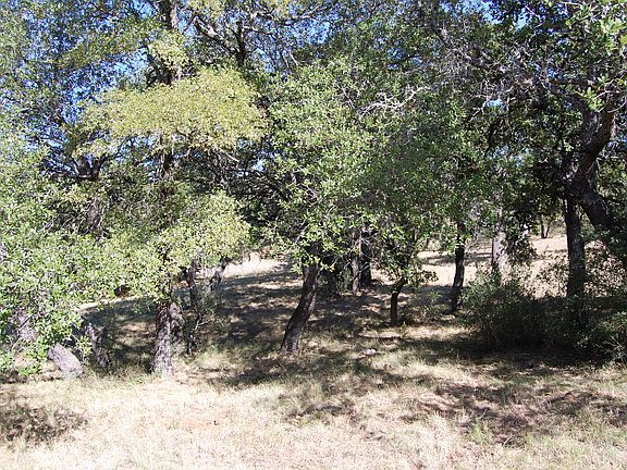 712 Apache Tears Lot