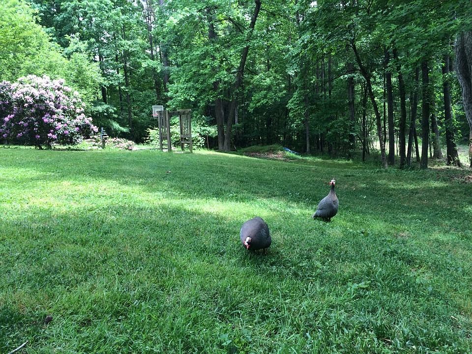 2+ acre Nature view