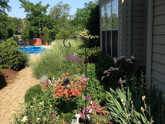 Perennials in cutting garden