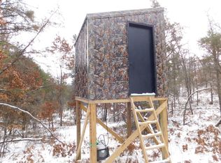 3397 Sandy Trl, Grayling, MI 49738