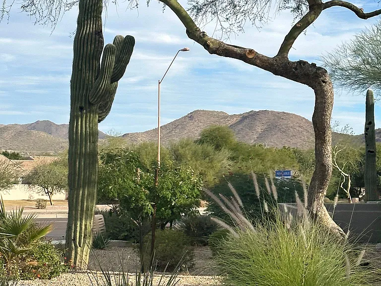 15095 N Thompson Peak Pkwy #2077 — Photo 48
