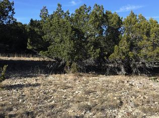 2502 Hancock Ave, Leander, TX 78645