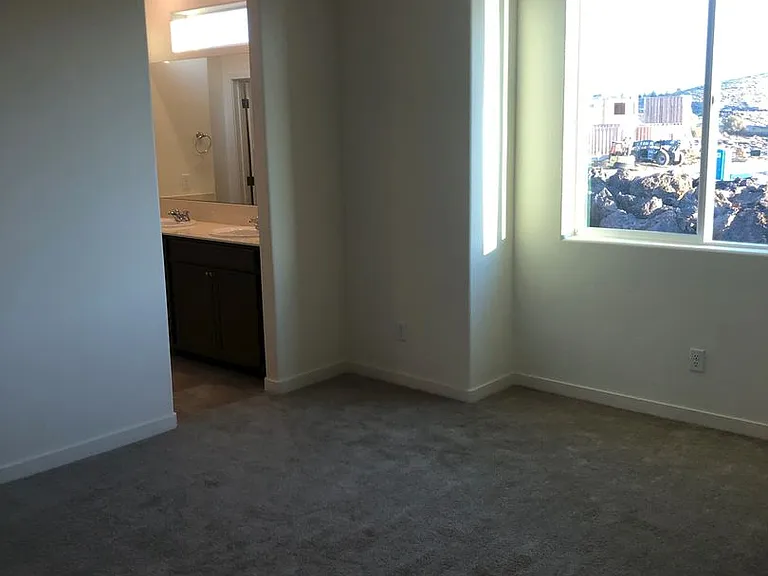 4771 Black Falcon Way — Photo 10