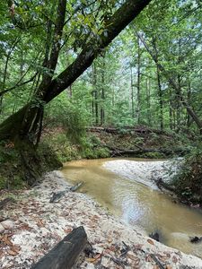 17 E Poor House Rd, Woodville, MS, 39669