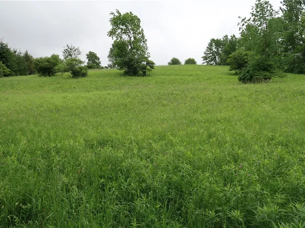 LOT 7 Albany Rd Lot 7, West Winfield, NY 13491