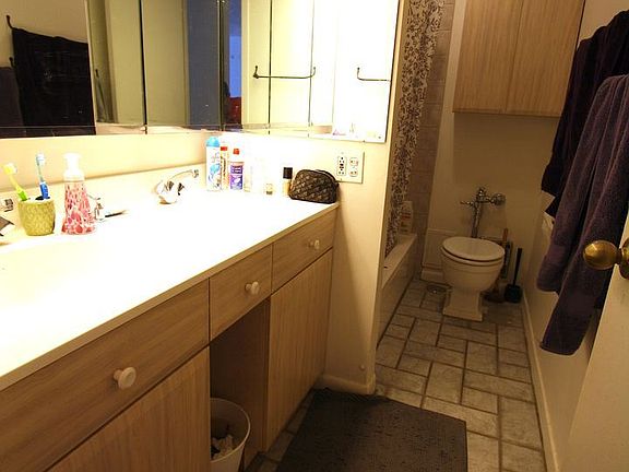 3rd image of 535 N Michigan Ave APT 311
