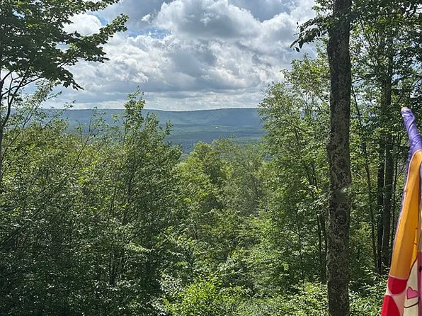 112 Forest Ridge Rd, Davis, WV 26260