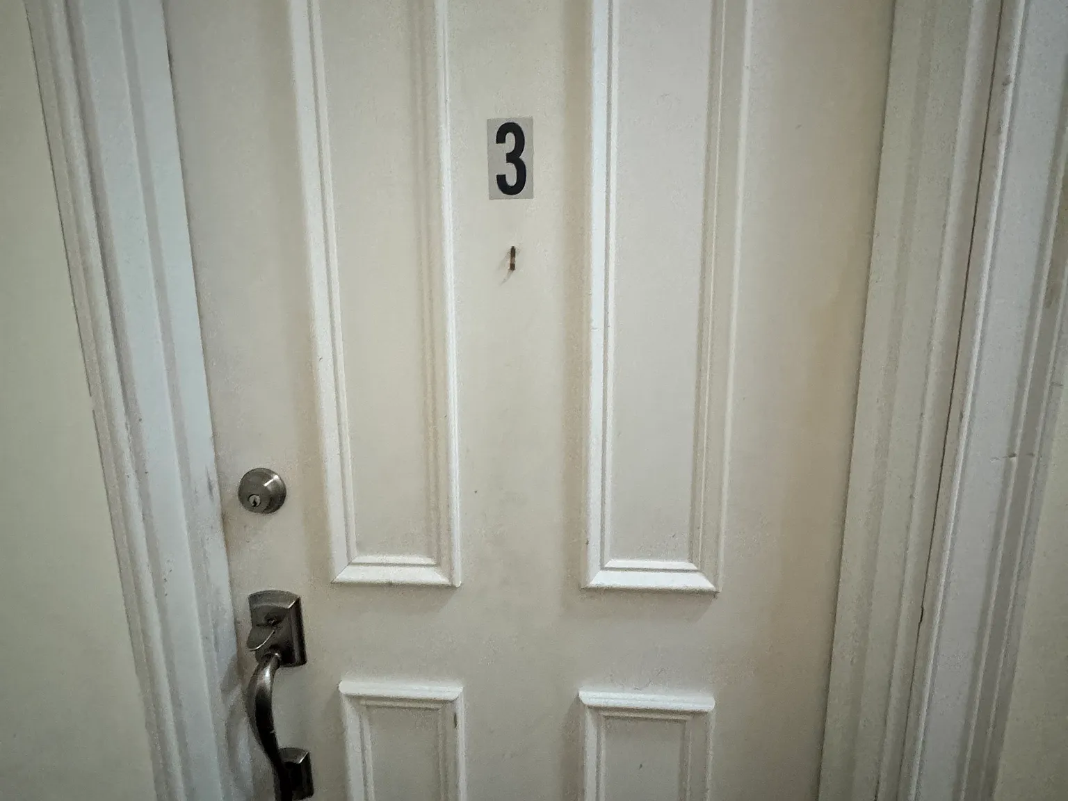 2 bed, 750 sqft, $3,100 — Photo 2