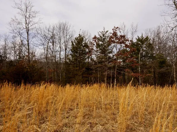 LOT 21 Oakridge Dr, Gepp, AR 72538