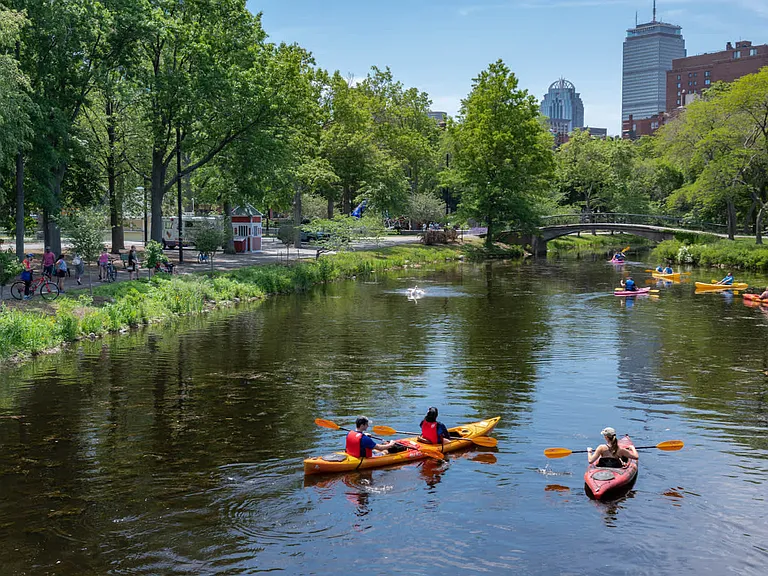 Jump in a kayak and embark through the scenic Charles River.