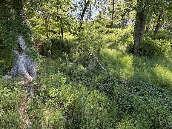 56th image of 5170 Steam Mill Hollow Rd