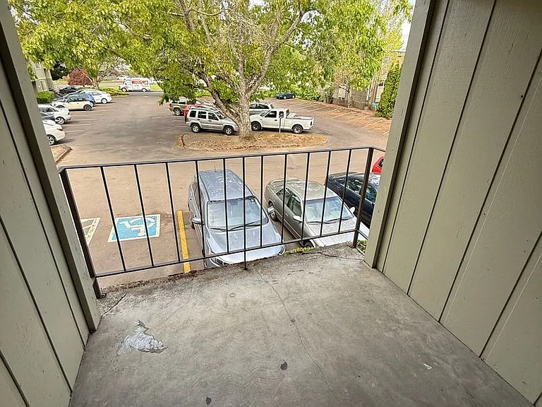 Ashwood Apartments — Photo 28