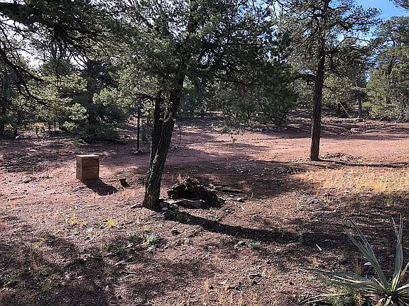 Back of lot
