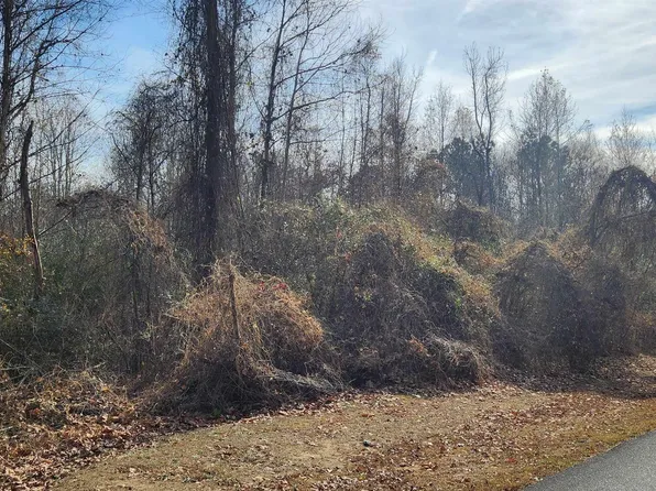 Blevins Rd, Falkville, AL 35622