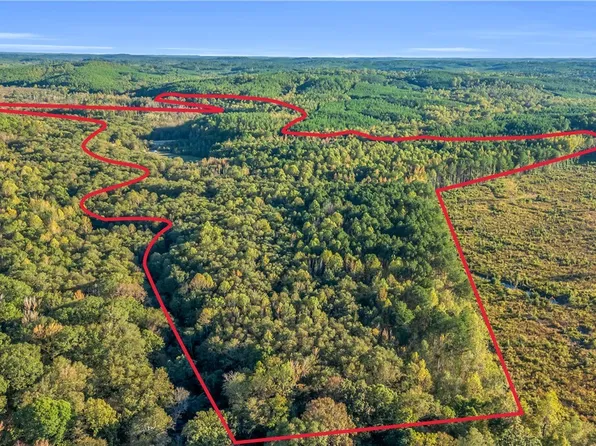 Snake Branch Rd, Vernon, AL 35592