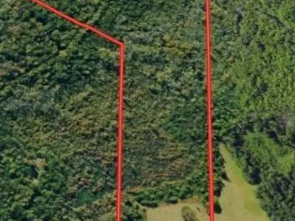 0 Pea Vine Rd, Pocahontas, TN 38061