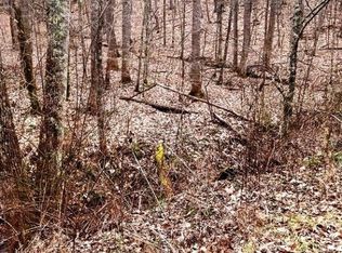 Chestnut Hill Rd, Crumpler, NC 28617