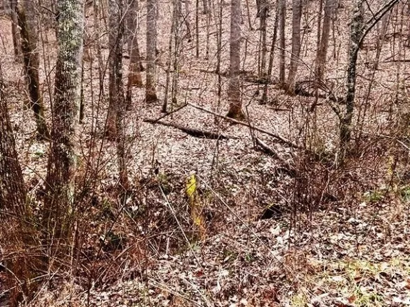 TBD Chestnut Hill Rd Road, Crumpler, NC 28617