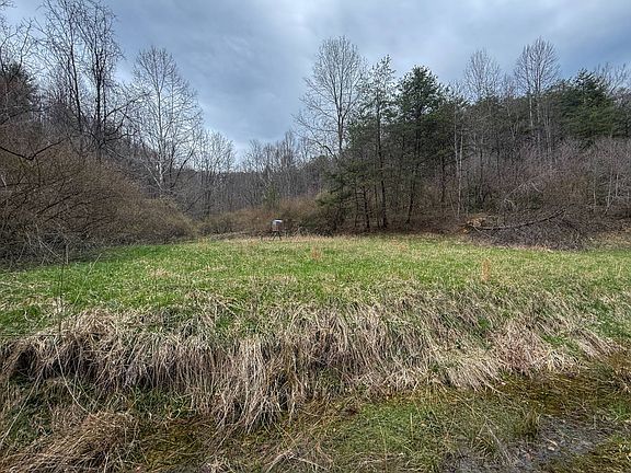 3rd image of 4044 Falls Run Rd