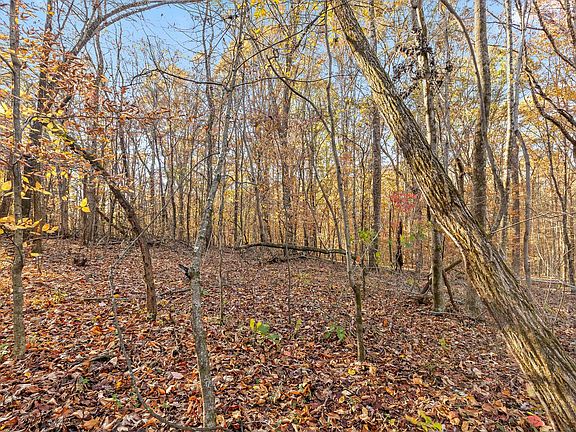 5th image of 8 County Road 121 Lot 8