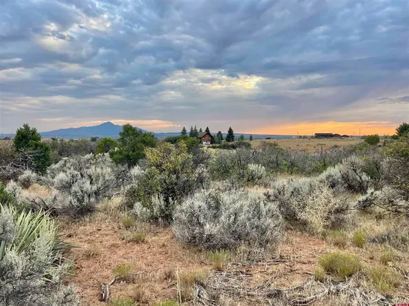 TBD Lot 12 Road 26.4, Dolores, CO 81323