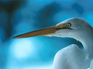 2104 Monroe Ave, Alva, FL 33920