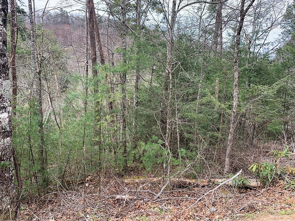 1st image of 251 Ski View Ln Lot 251