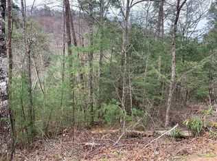 251 Ski View Ln LOT 251, Sevierville, TN 37876
