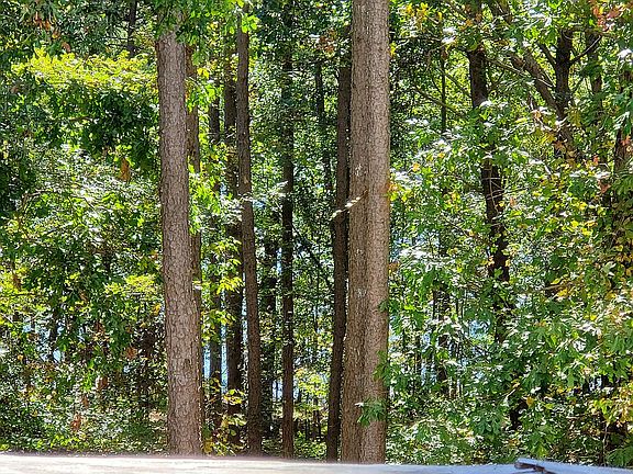 View from Balcony Deck