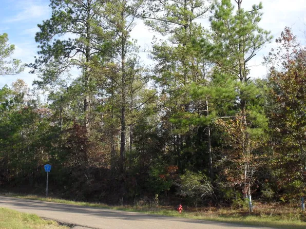 0 Other, Georgiana, AL 36033