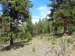 716 Pine Dr, Guffey, CO 80820