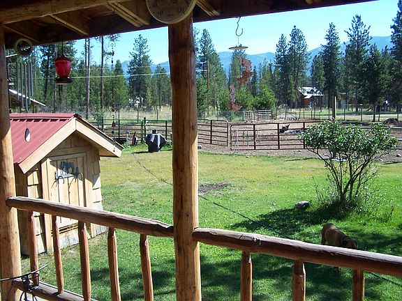 Looking out the front door
