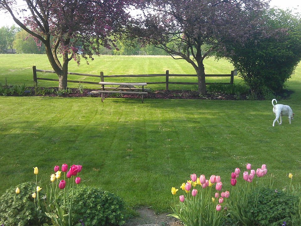 1st image of 672 Valley Park Dr