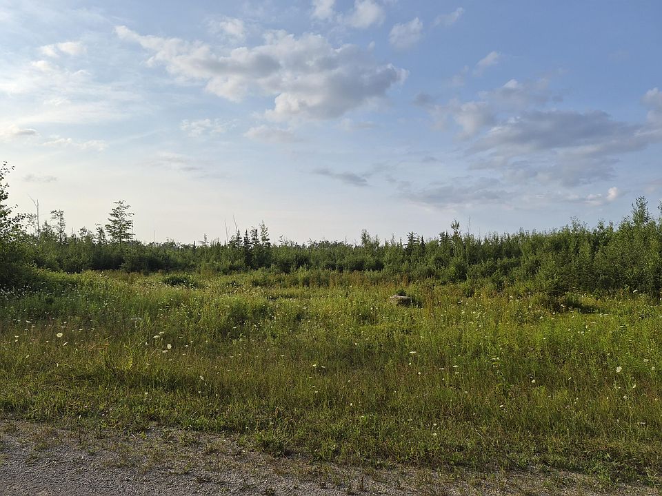 1st image of V/l Black Bear Hwy