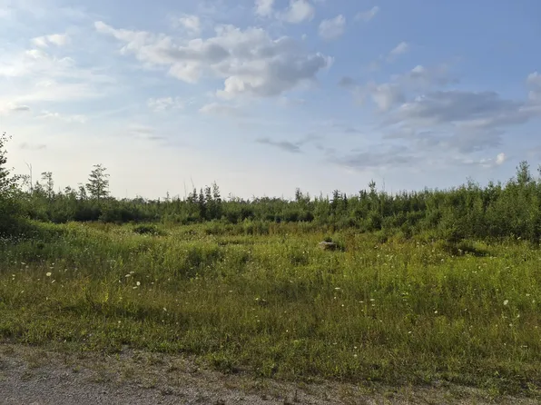 V/l Black Bear Hwy, Rogers City, MI 49779