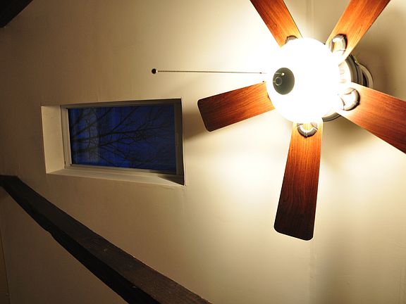 Ceiling fan with Skylight