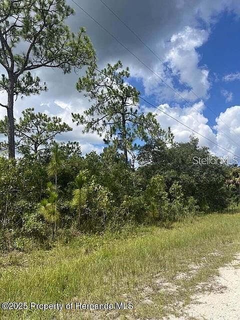 1st image of 10194 YELLOW FROG AVENUE LOT 7